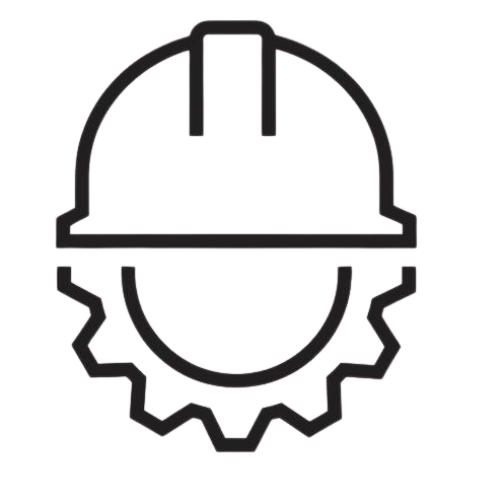 Flag State Inspection