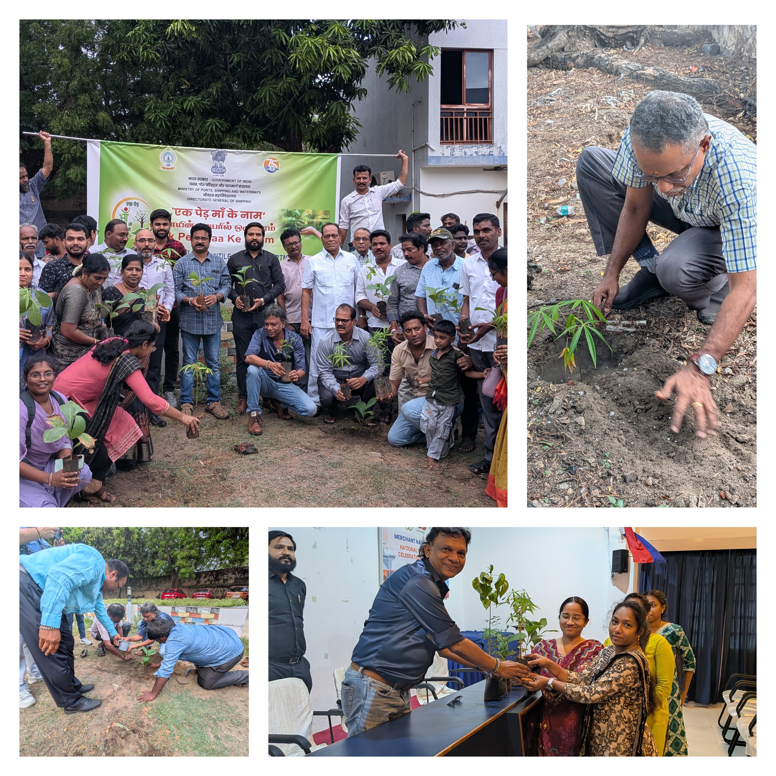 World Environment Day 2026: Plantation Initiatives by MMD Chennai & Subordinate Offices
